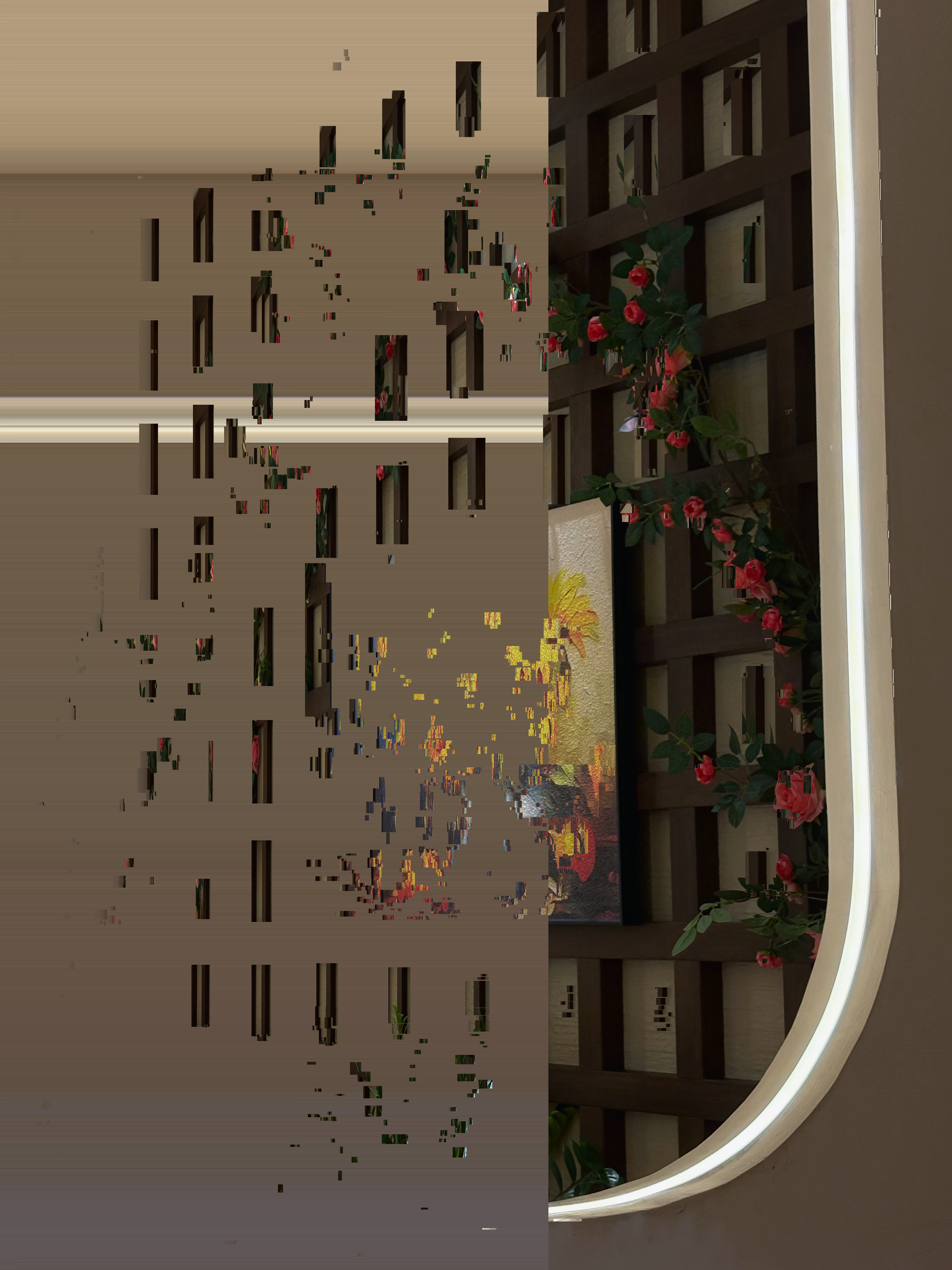 摄影作品 13