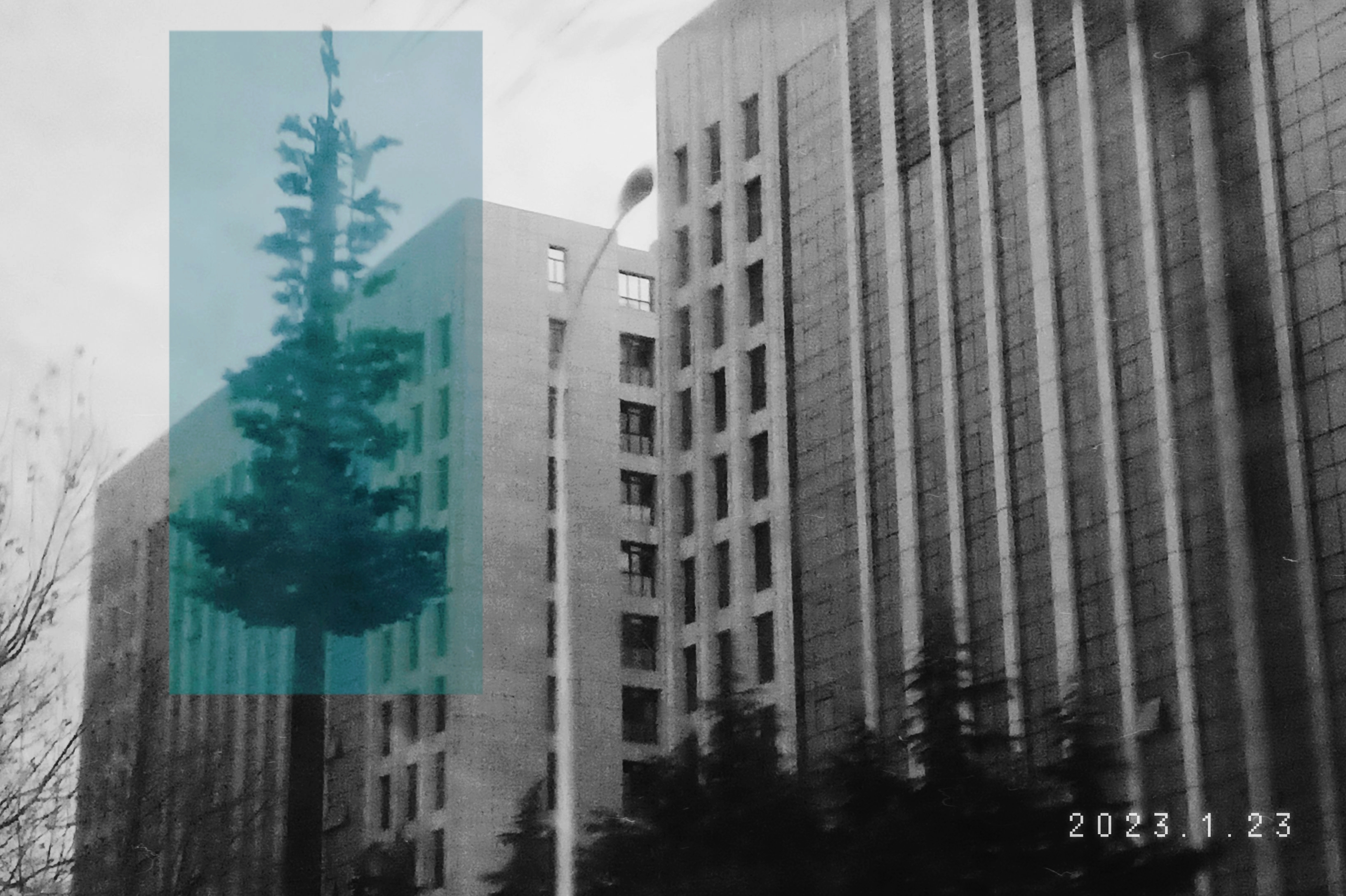 摄影作品 14