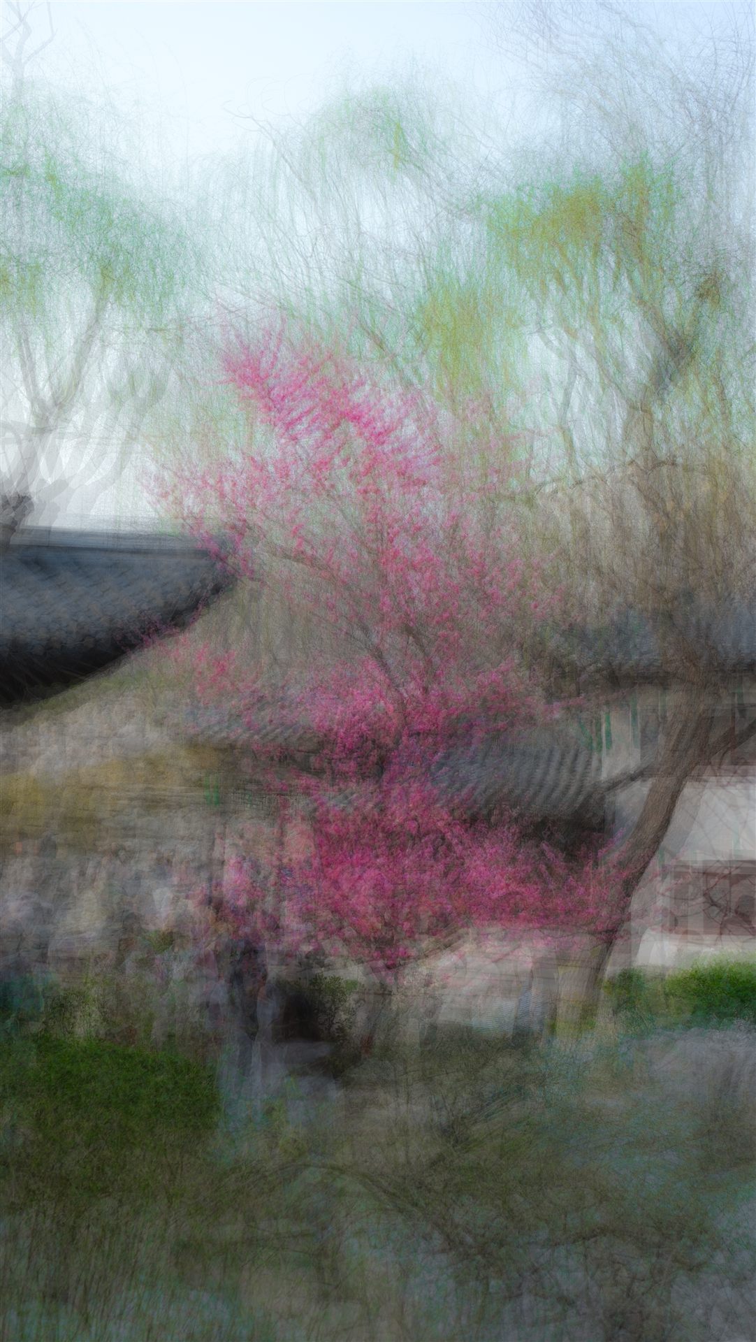 摄影作品 9